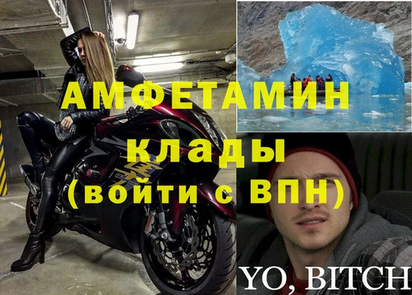 индика Володарск