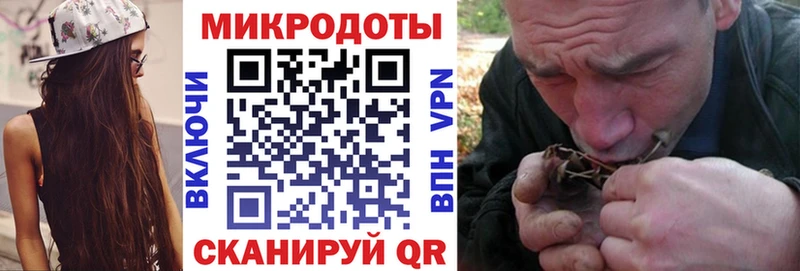 Галлюциногенные грибы Psilocybe  Купить закладки  Краснокамск 